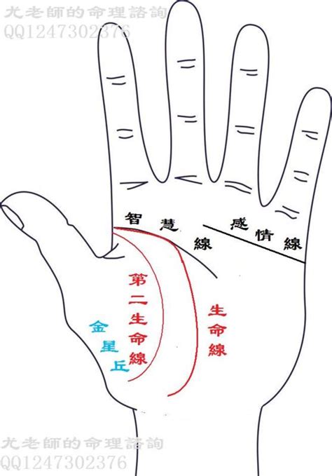 2條生命線|手上有兩條生命線的人生命力旺盛，貴人多助